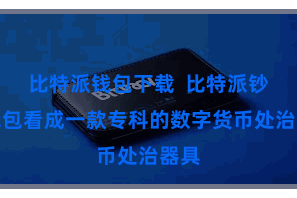 比特派钱包下载  比特派钞票钱包看成一款专科的数字货币处治器具